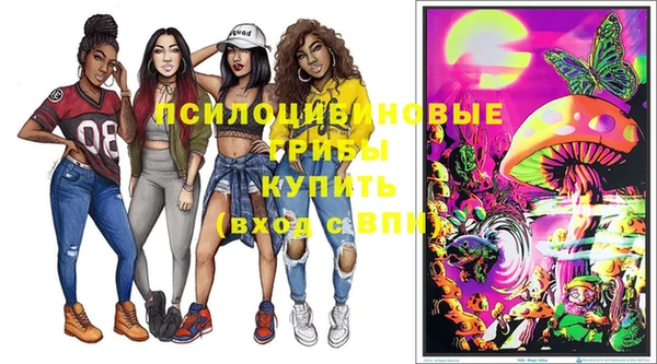 мдпв Абдулино